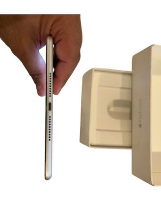 Ipad mini 4