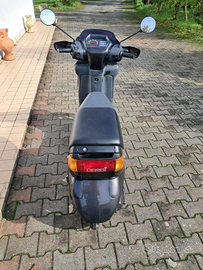 Scooter Atala