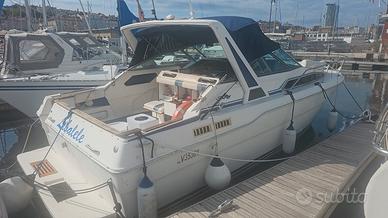 Sea ray 30 MOTORI NUOVI