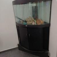 acquario juwel trigon 190