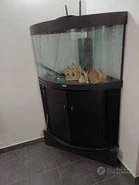 acquario juwel trigon 190