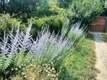 Manutenzione e realizzazione giardini