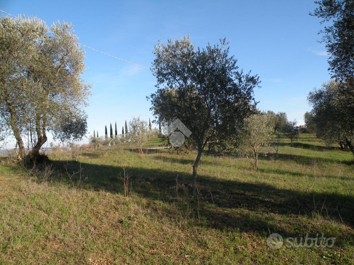 TER. RESIDENZIALE A GROSSETO - Vista 5