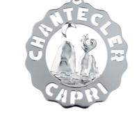 Ciondolo logo chantecler nuovo con scatola