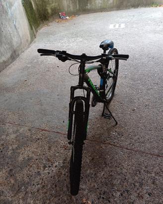 Bicicletta Mountain Bike