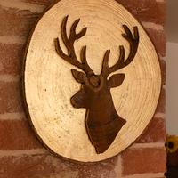 quadro tondo di testa di cervo