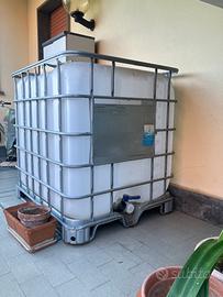 Cisterna in IBC