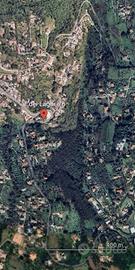 Terreno Agricolo Velletri [BOSCO VELLETRIVCG]