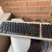 computer apple