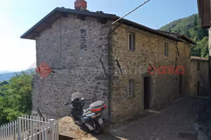 Rustico/Casale/Corte Camporgiano [UG527MDVRG]