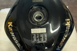Kawasaki zx10 r anno 2005