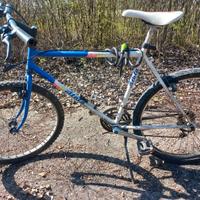 mtb adulto 