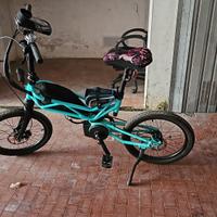 Ebike Trilix