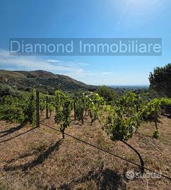 Terreno agricolo vigneto e uliveto a Calatabiano