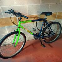 Bicicletta Mountain Bike 