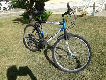 Mountain bike LEGNANO da 26