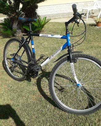 Mountain bike LEGNANO da 26