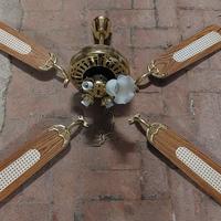 Ventilatore/Lampadario