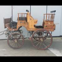 Carrozza cavalli
