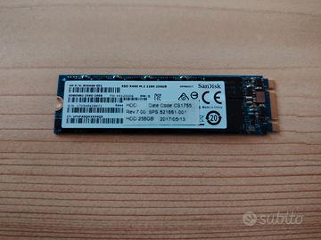 SanDisk 256 GB