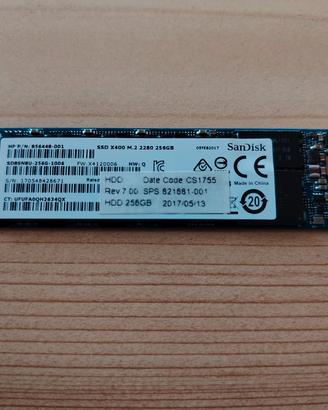 SanDisk 256 GB
