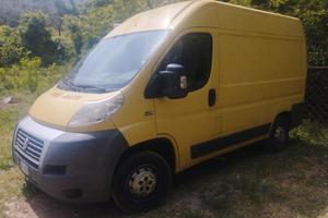 Ducato 
