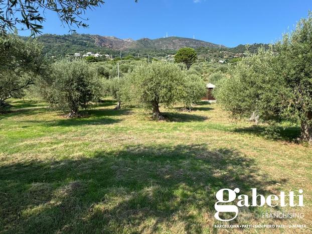 Terreno Agricolo Gioiosa Marea