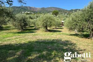 Terreno Agricolo Gioiosa Marea