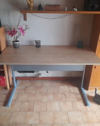 Scrivania Ikea in legno e acciaio con vano fili