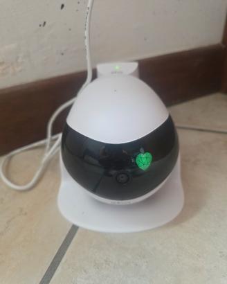 telecamera per interni