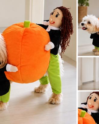Costume di Halloween per cane