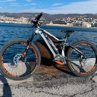 mountain bike elettrica