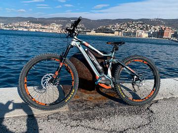 mountain bike elettrica