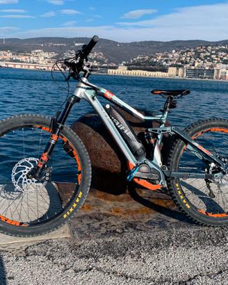 mountain bike elettrica