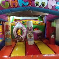 gonfiabili professionale 