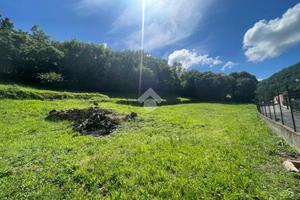 TER. AGRICOLO A SANT'OLCESE