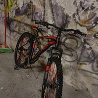 bicicletta