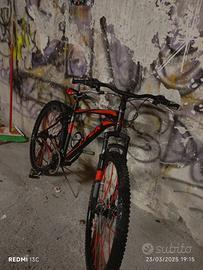 bicicletta