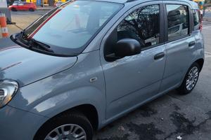 Fiat panda 1.2 Fire 69 CV neopatentati e area B