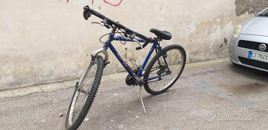 Bicicletta MTB "Bianchi" (60€)