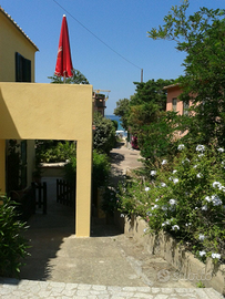 Isola d Elba a Procchio 50 passi dal mare