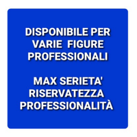 Collaboratore autista ncc assistente fiduciario