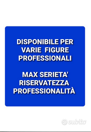 Collaboratore autista ncc assistente fiduciario