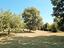 Immagine 20