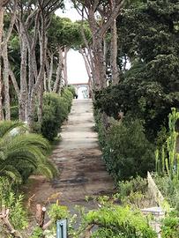 Ai piedi del mare