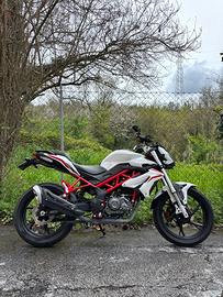 benelli bn 125