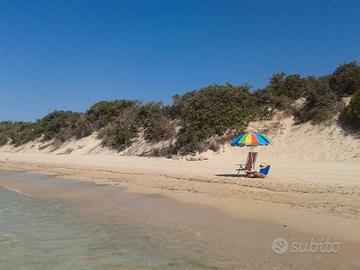 San Pietro in Bevagne