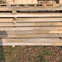 pali in cemento per frutteto o recinzione 