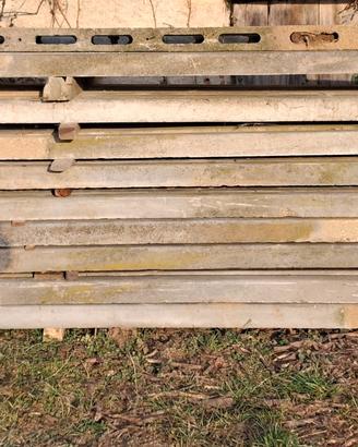 pali in cemento per frutteto o recinzione 