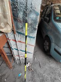 canne da pesca varie  e borsone
